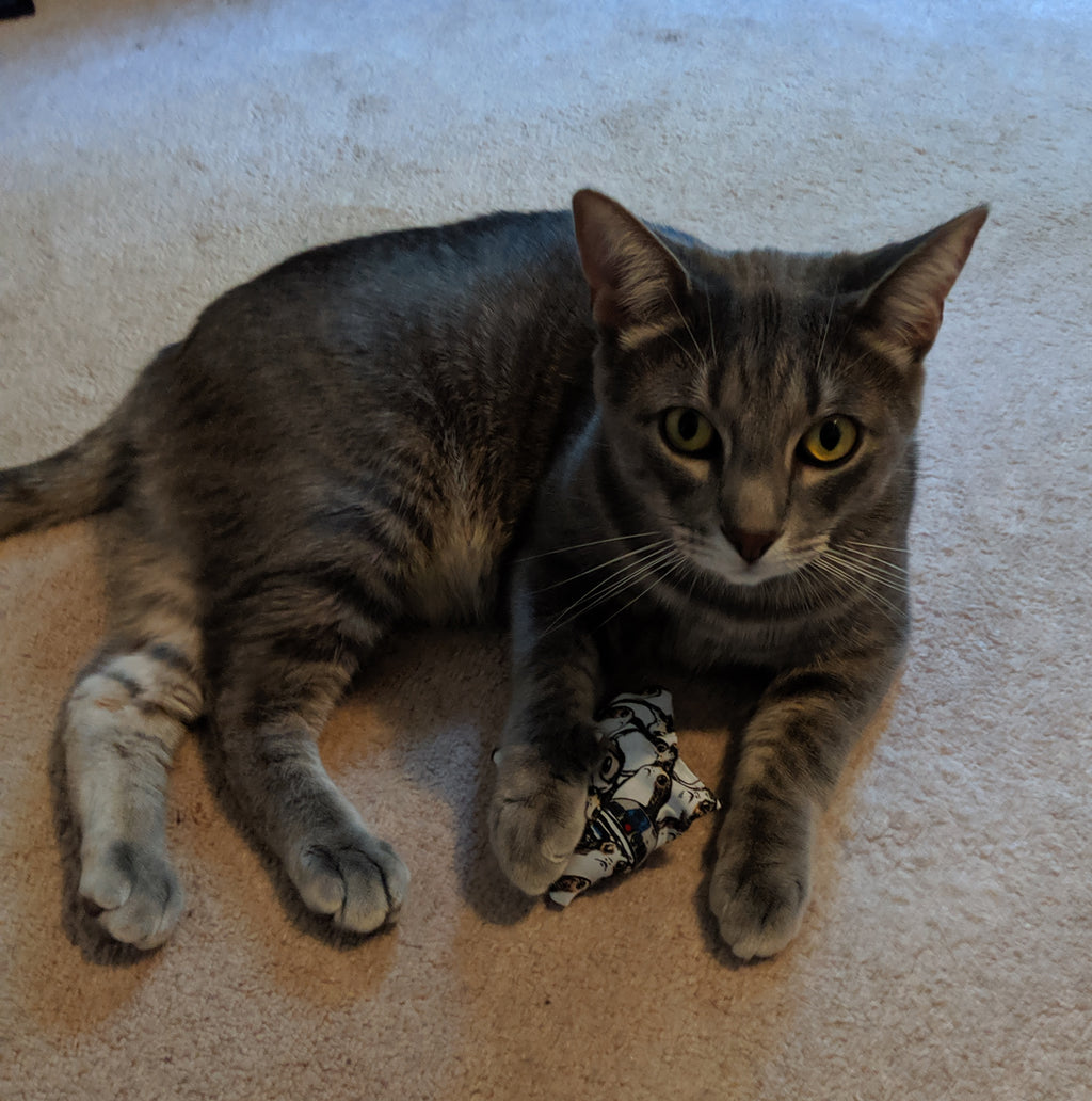 Random Catnip Pillow