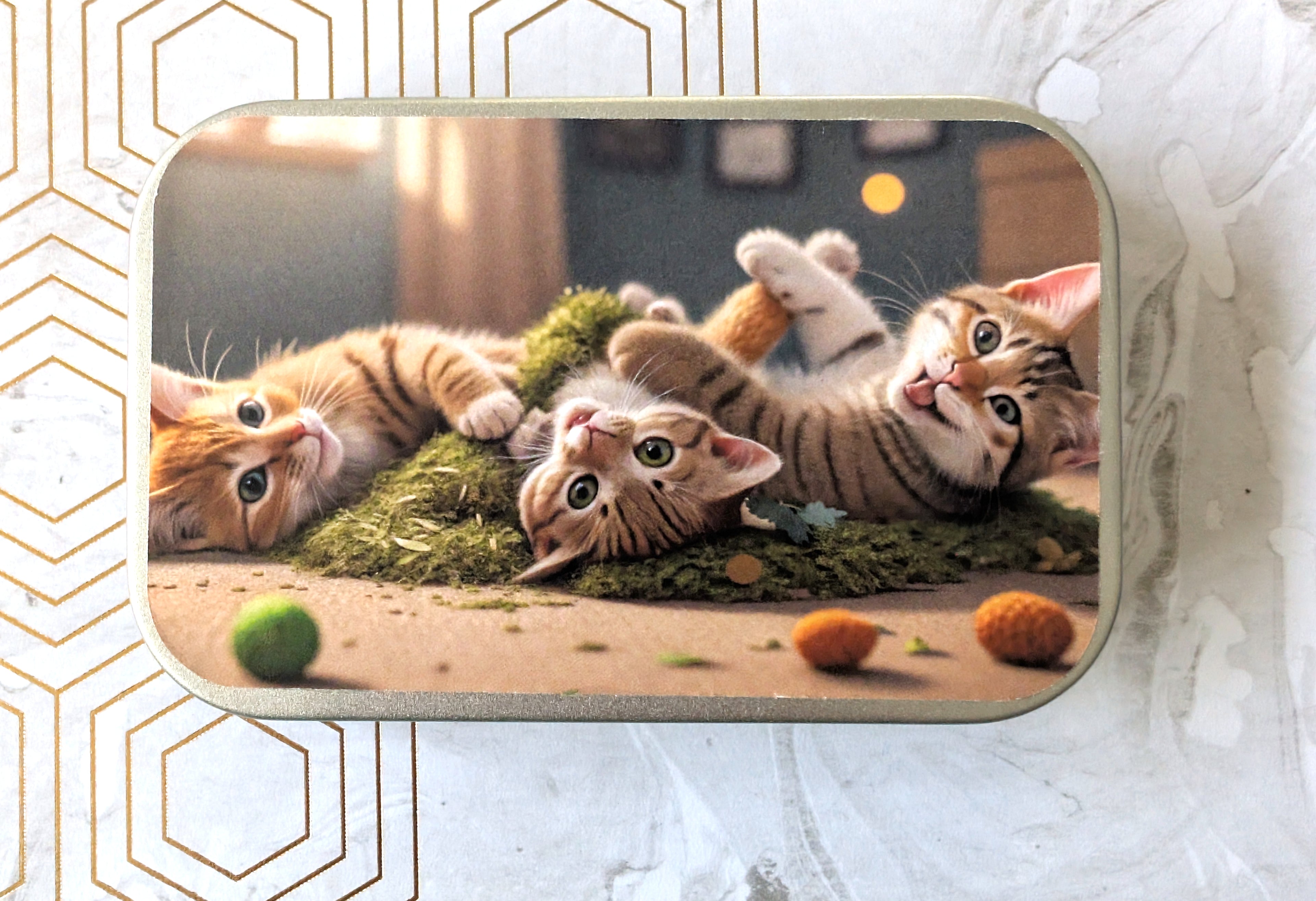 Playful kittens enjoying catnip together, Catnip Tin