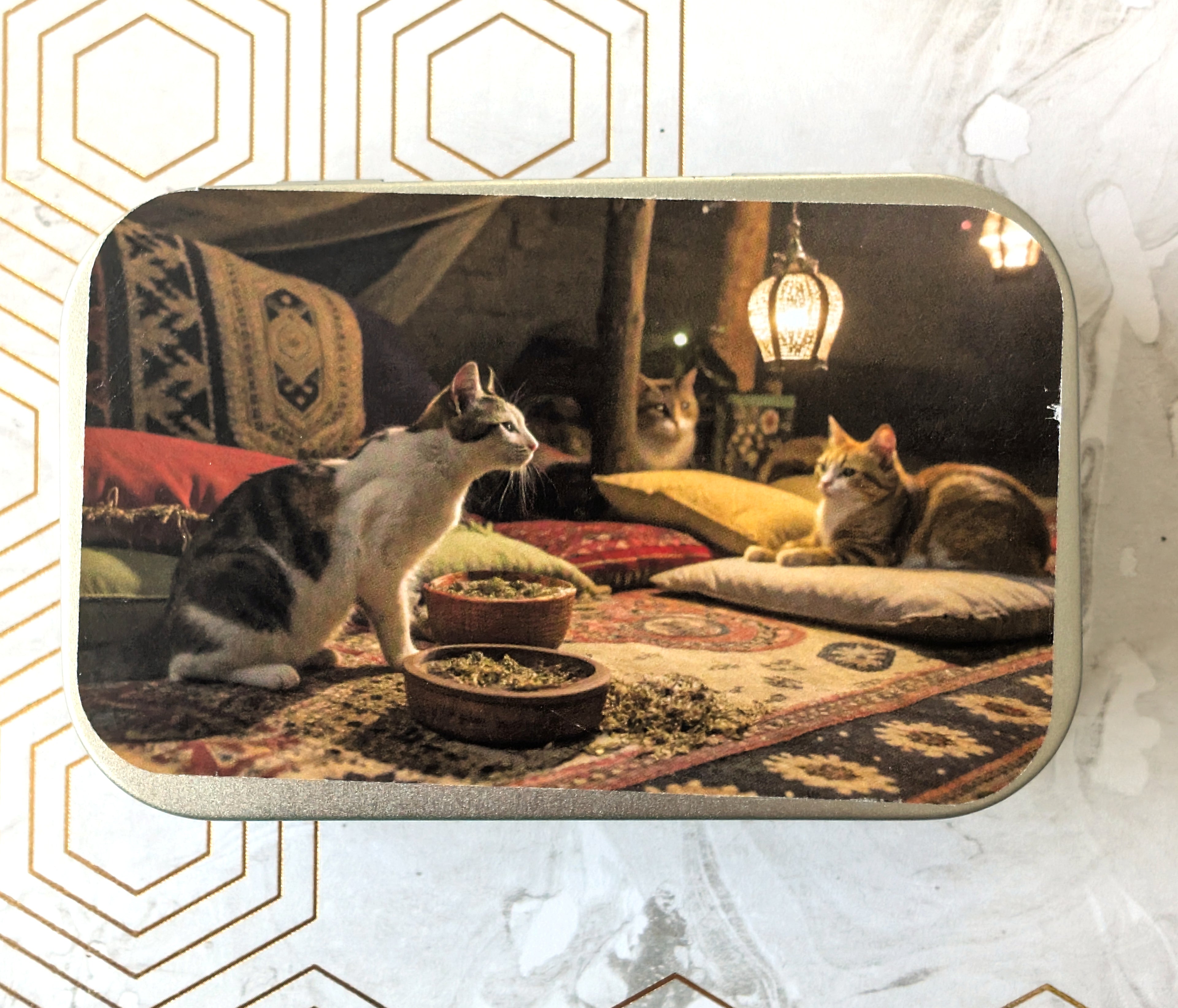 Cats chilling in a catnip den, Catnip Tin