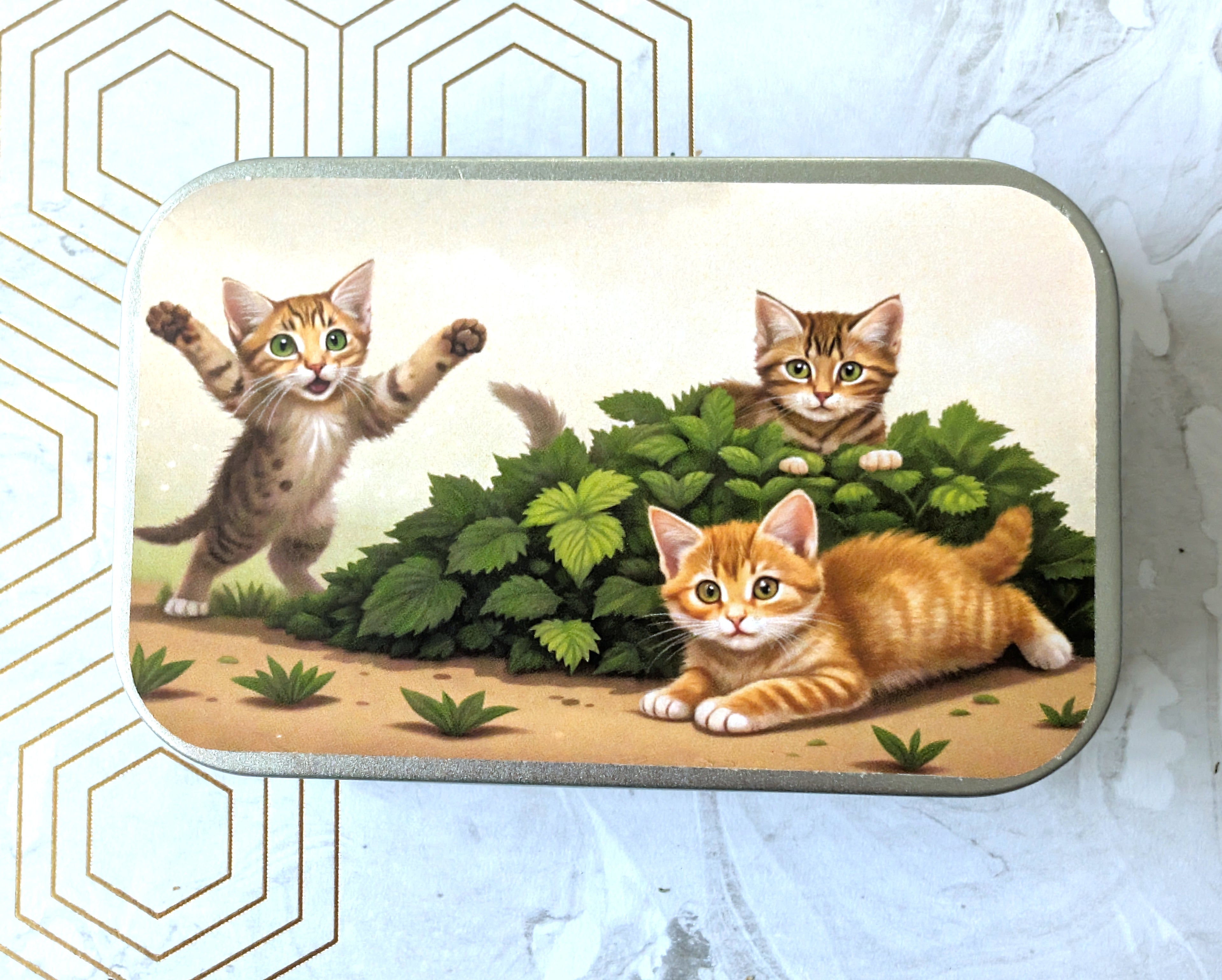 Flying Kitty! and two others. Catnip Tin